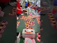 Légers solaires LED à longue durée de vie en plastique